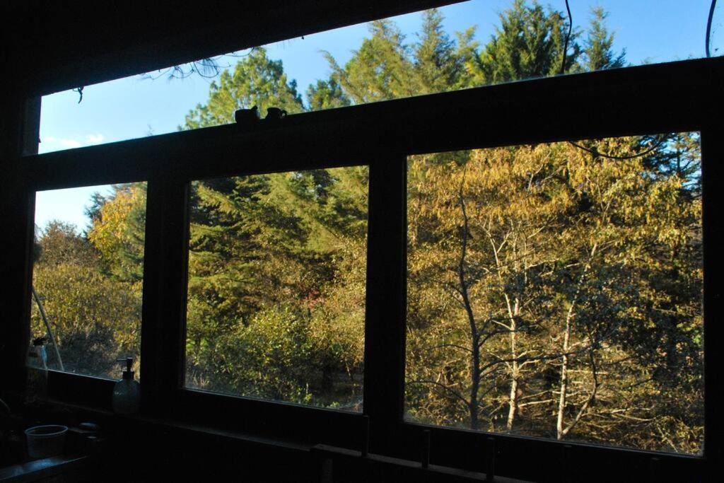 San Cristóbal de Las Casas Hostal Casa 4 Estaciones, Coliving & Nature מראה חיצוני תמונה