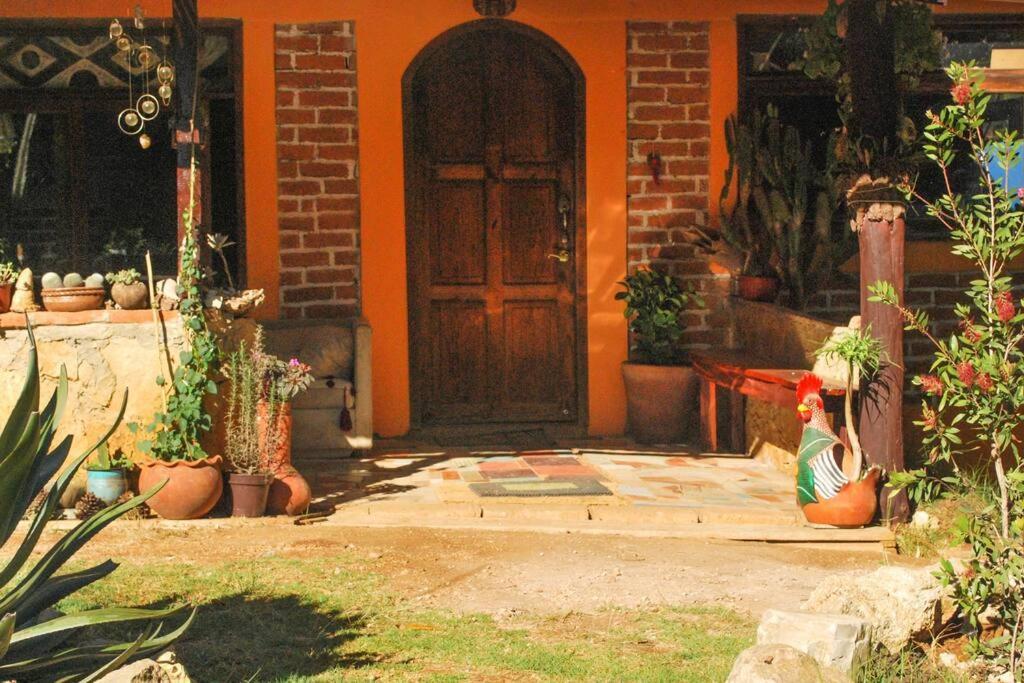San Cristóbal de Las Casas Hostal Casa 4 Estaciones, Coliving & Nature מראה חיצוני תמונה