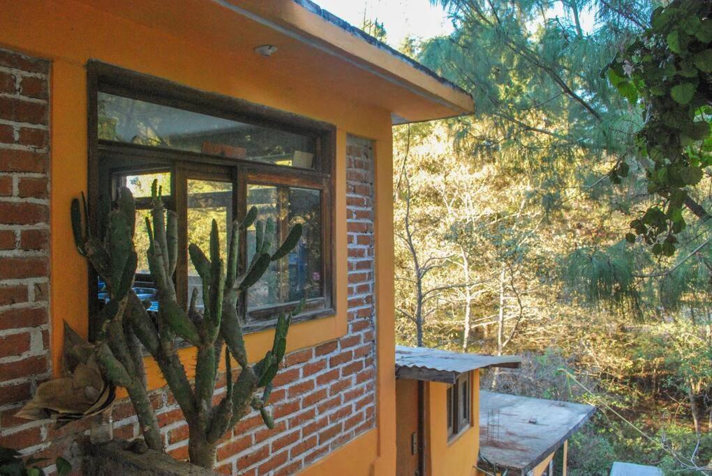 San Cristóbal de Las Casas Hostal Casa 4 Estaciones, Coliving & Nature מראה חיצוני תמונה
