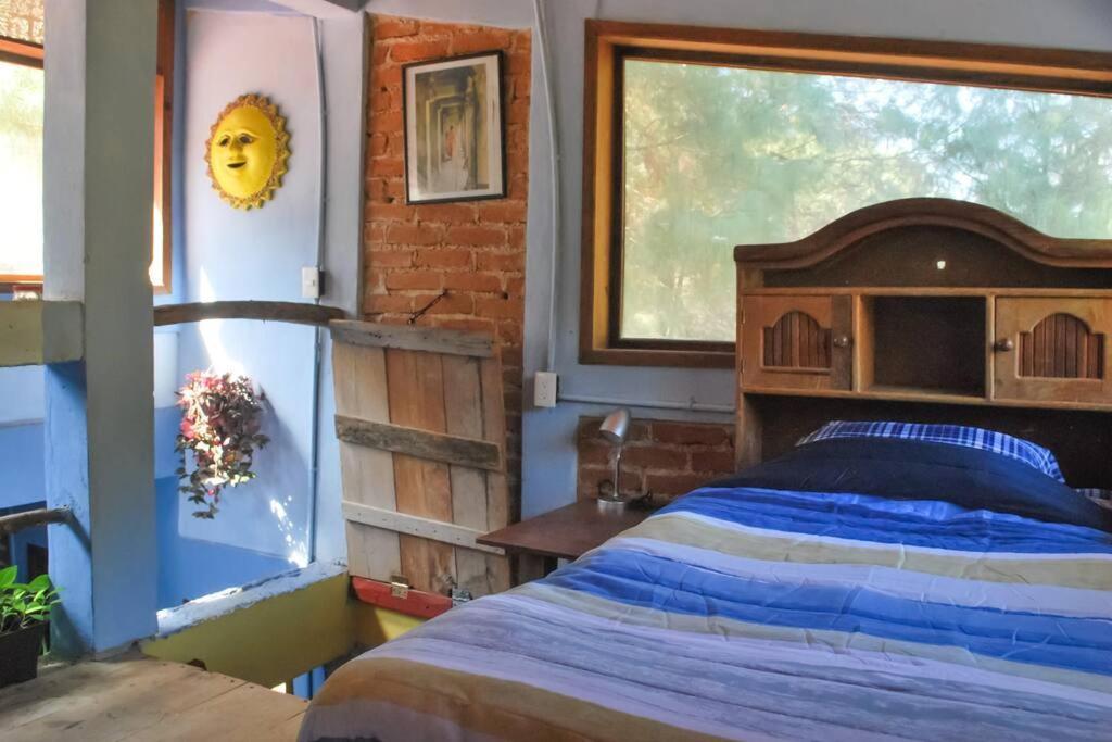 San Cristóbal de Las Casas Hostal Casa 4 Estaciones, Coliving & Nature מראה חיצוני תמונה