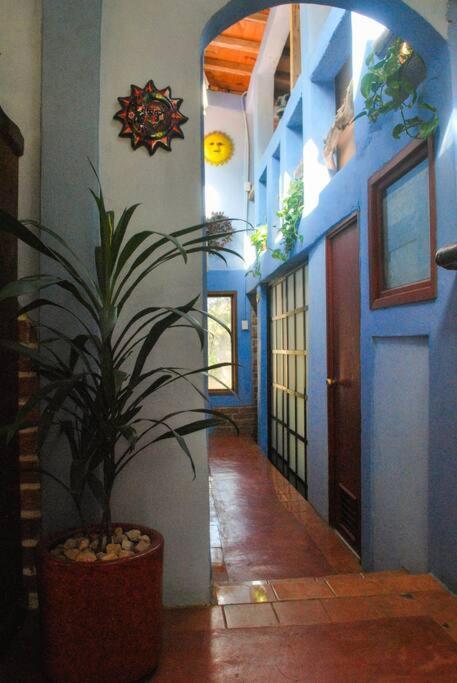 San Cristóbal de Las Casas Hostal Casa 4 Estaciones, Coliving & Nature מראה חיצוני תמונה