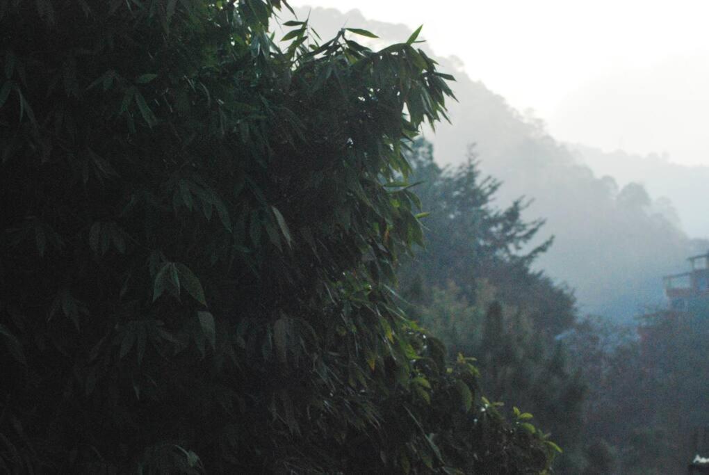 San Cristóbal de Las Casas Hostal Casa 4 Estaciones, Coliving & Nature מראה חיצוני תמונה
