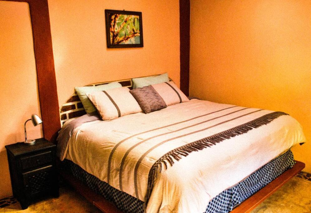 San Cristóbal de Las Casas Hostal Casa 4 Estaciones, Coliving & Nature מראה חיצוני תמונה
