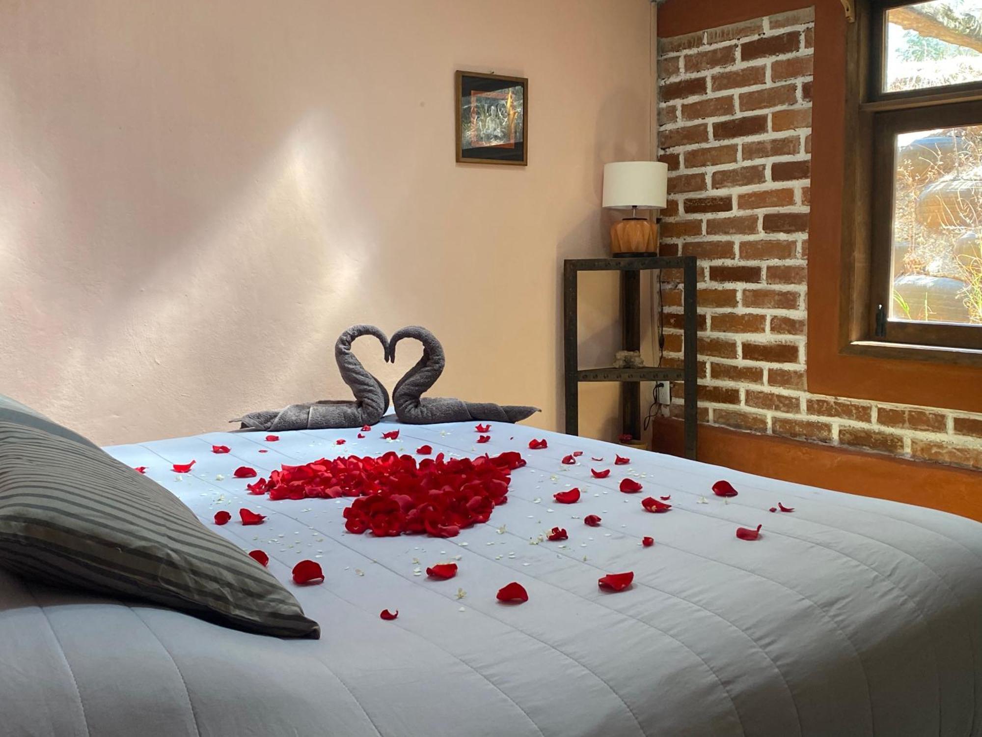 San Cristóbal de Las Casas Hostal Casa 4 Estaciones, Coliving & Nature מראה חיצוני תמונה